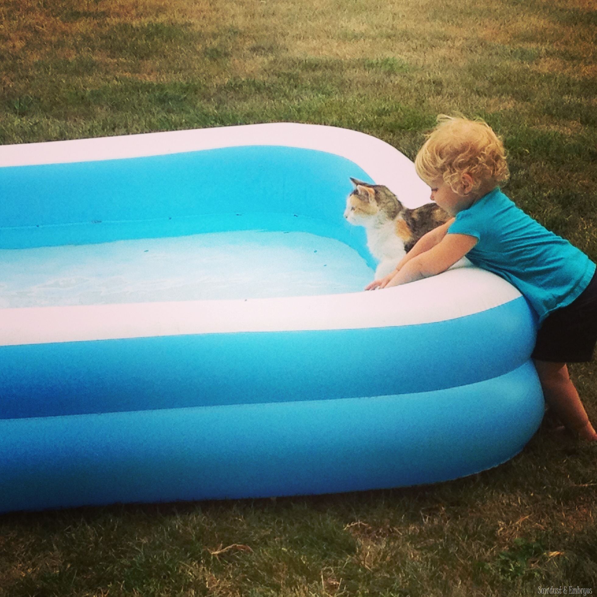 Sept Camera Dump | Reality Daydream