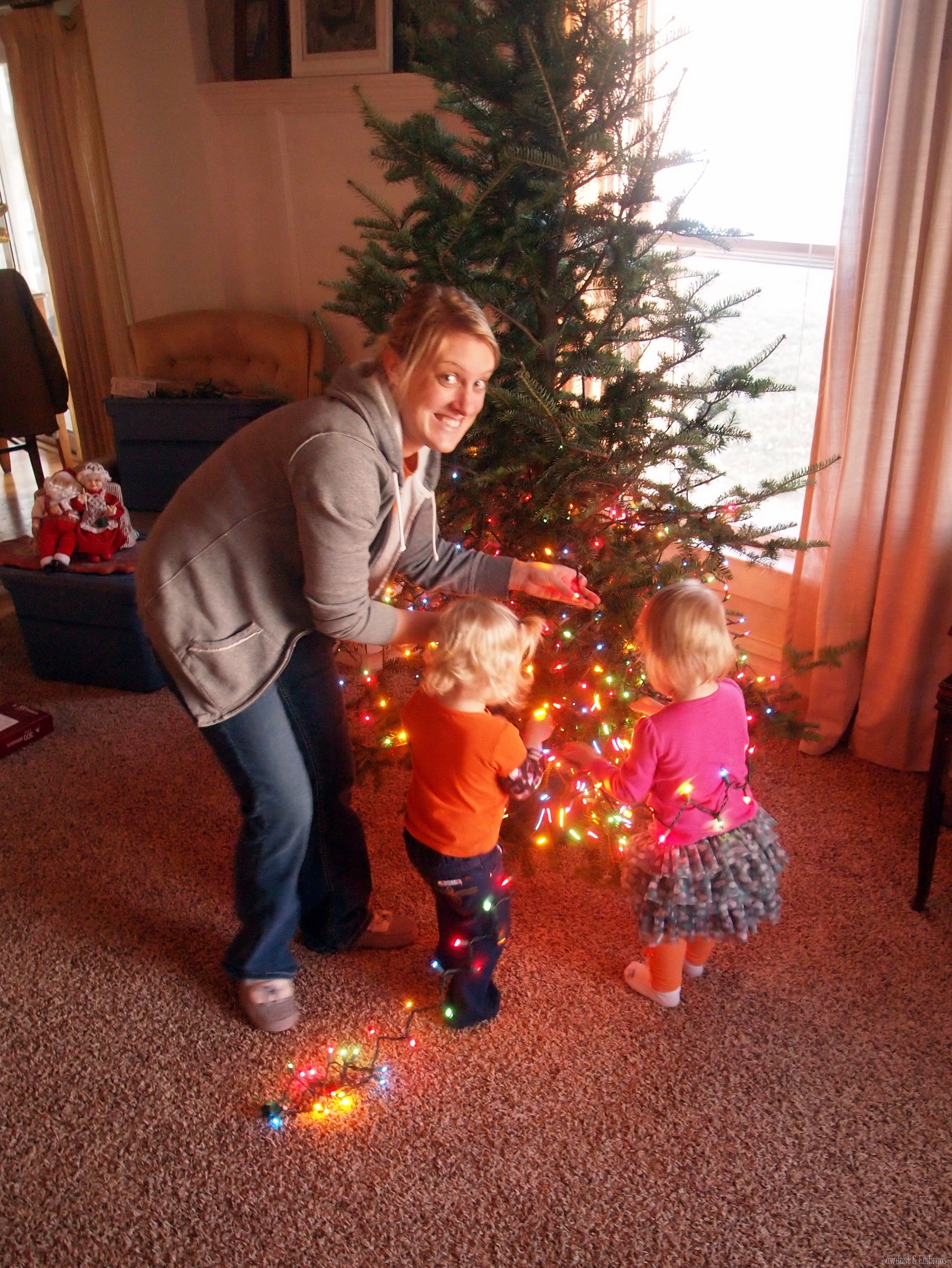 Christmas Tree Traditions Reality Daydream