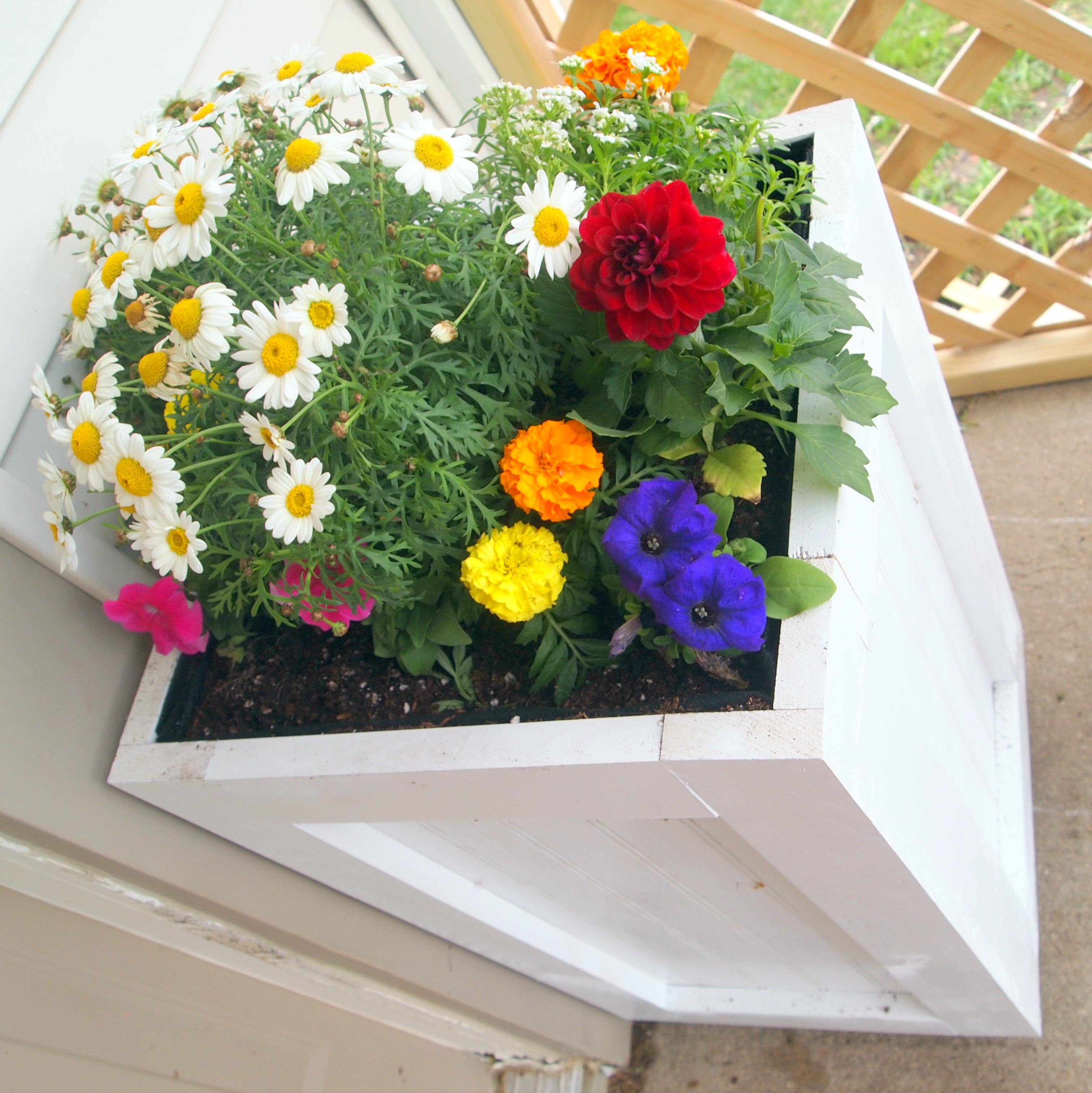 Build your own Planter Boxes! | Reality Daydream