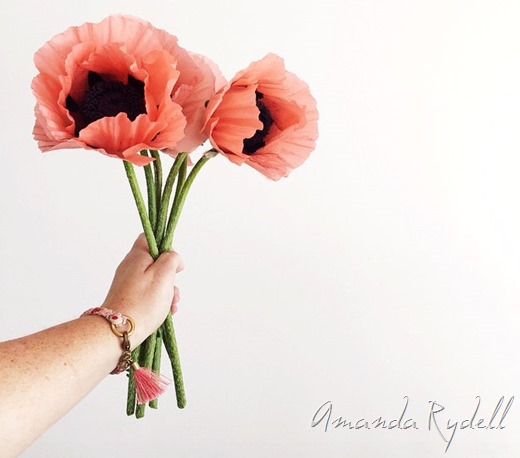 Gorgeous pink poppies by Amanda Rydell