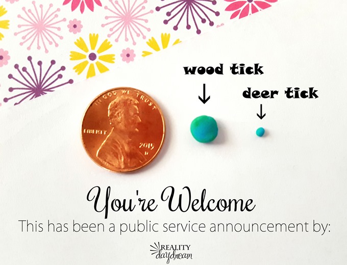 Deer ticks are TINY! #lymedisease #themoreyouknow