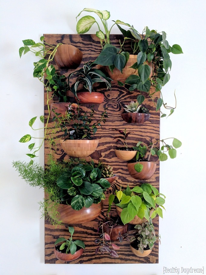 Living-wall-planter-made-from-wooden-bowls-Reality-Daydream