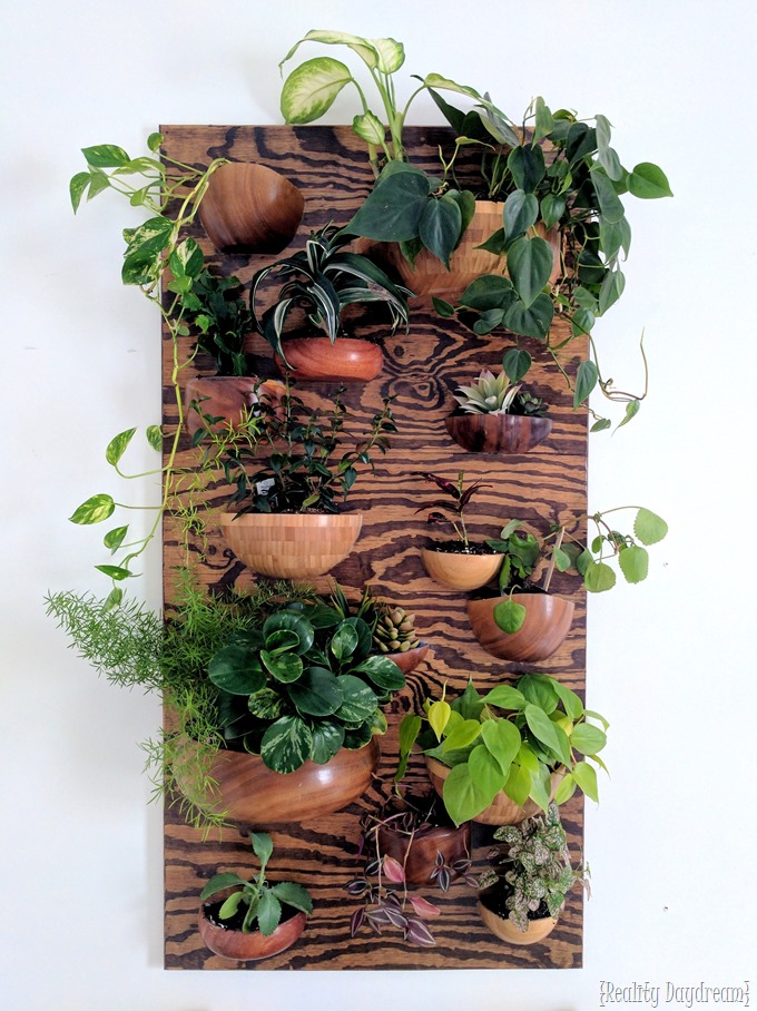 Living wall planter made from wooden bowls! {Reality Daydream}