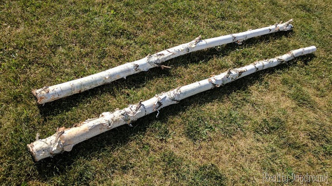 Birch logs used to hold up patio lighting! {Reality Daydream}