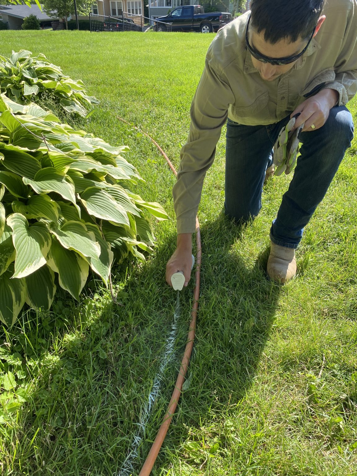 Garden Update Bed Redefining! Reality Daydream