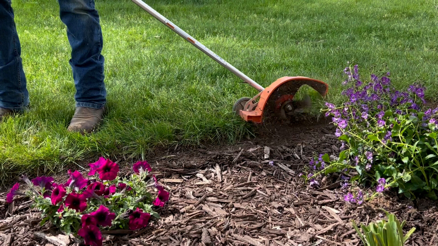 Garden Bed Redefining Reality Daydream