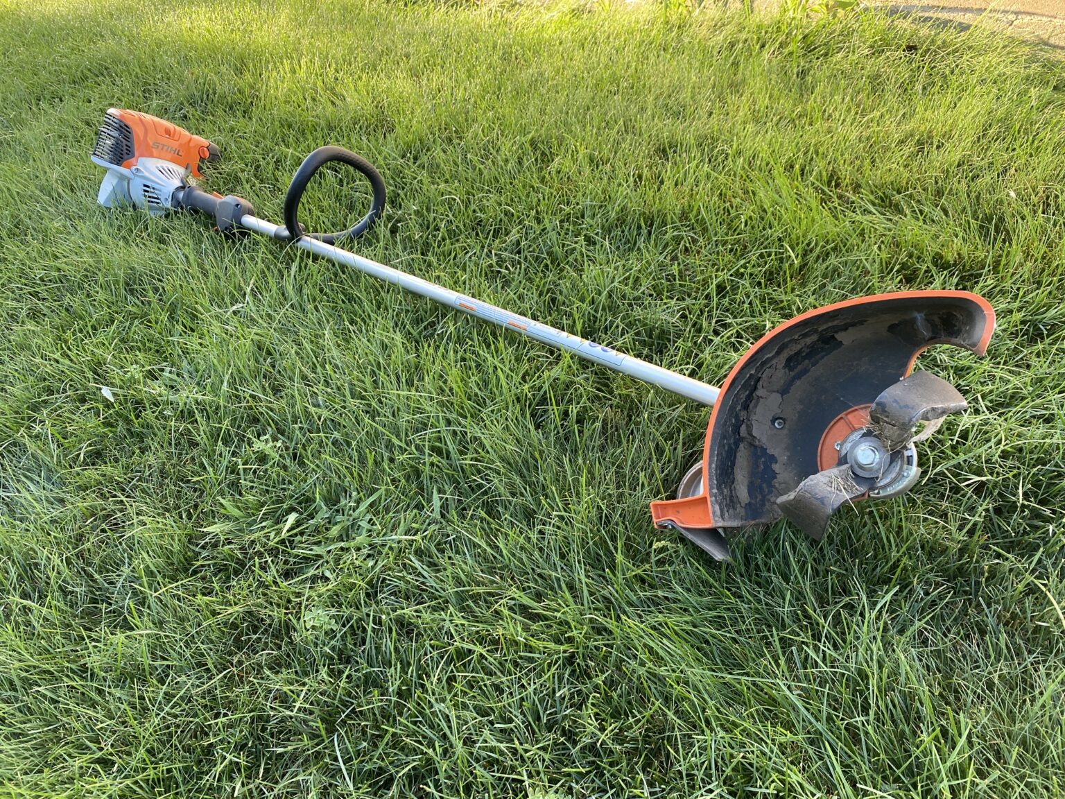 Garden Bed Redefining Reality Daydream
