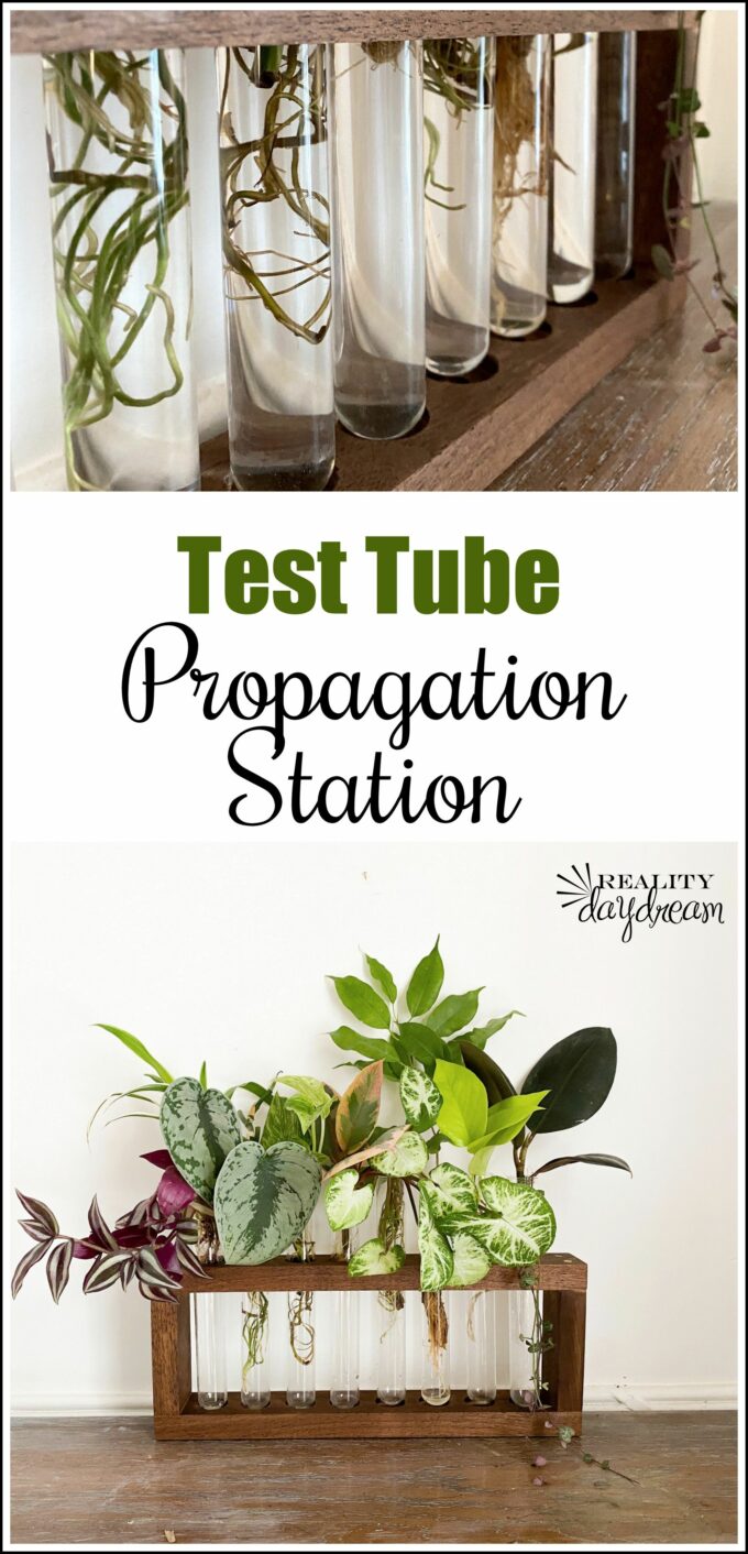 Test Tube Propagation Station - Handmade Gift Ideas